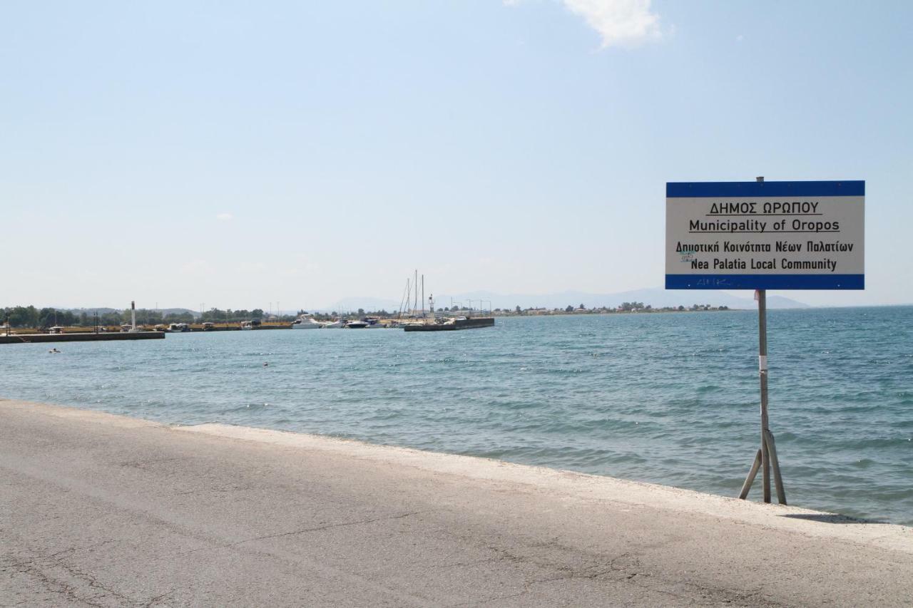 Katerina'S Villa Nea Palatia Kültér fotó